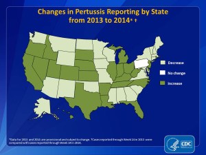 CDC State Pertussis Reporting