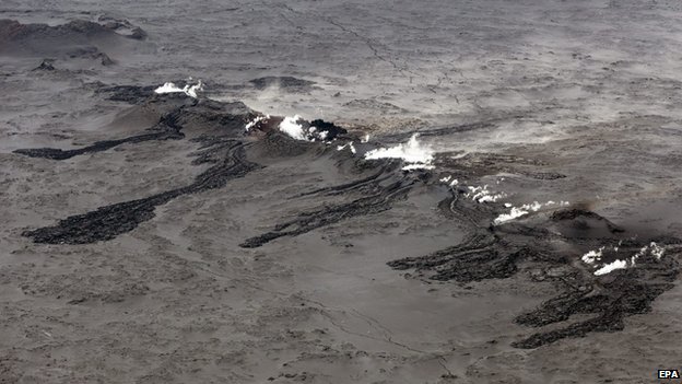 image courtesy of the BBC